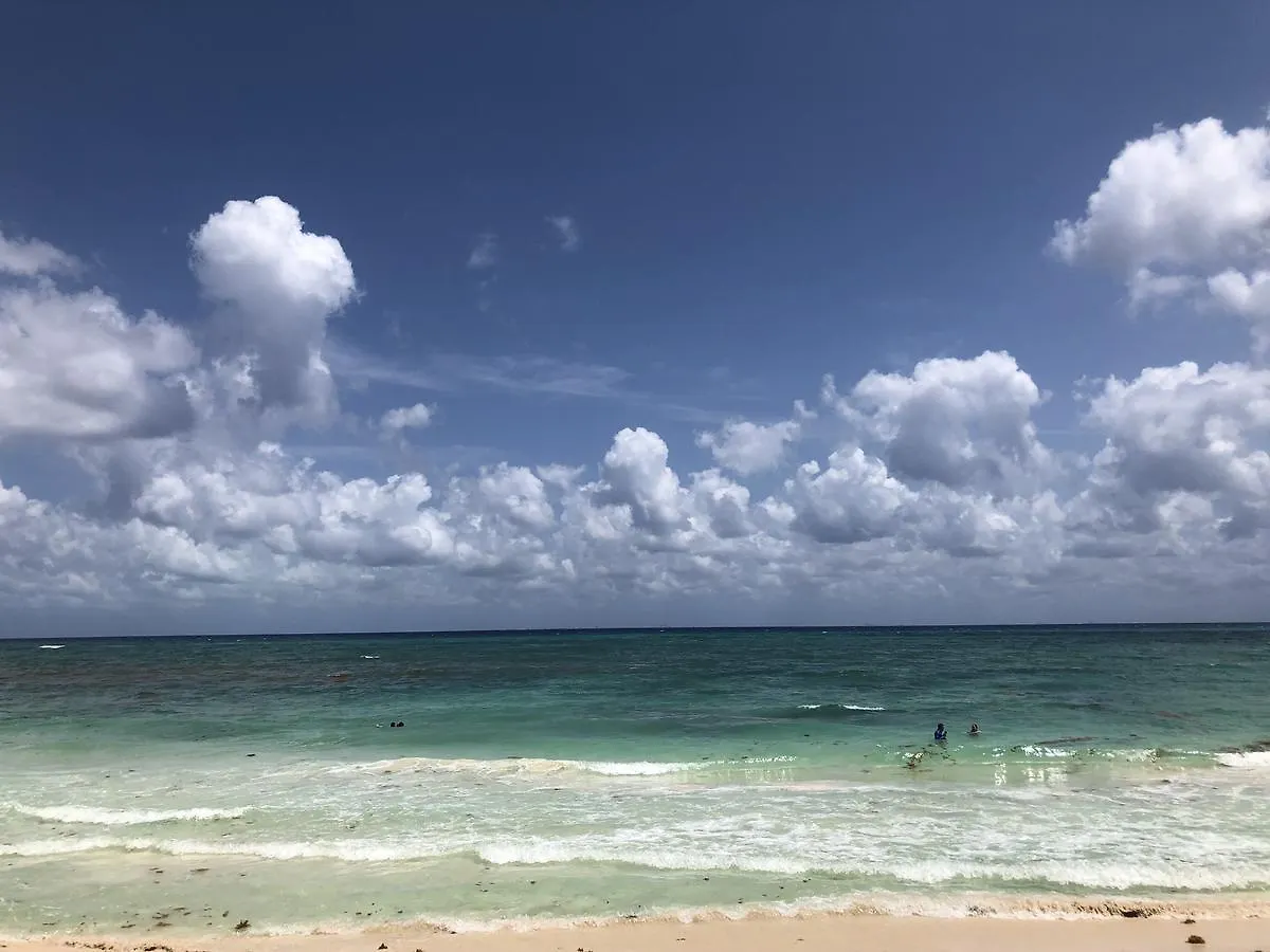 Grand Coral Ocean Dream Sv Hotel Playa del Carmen Resort