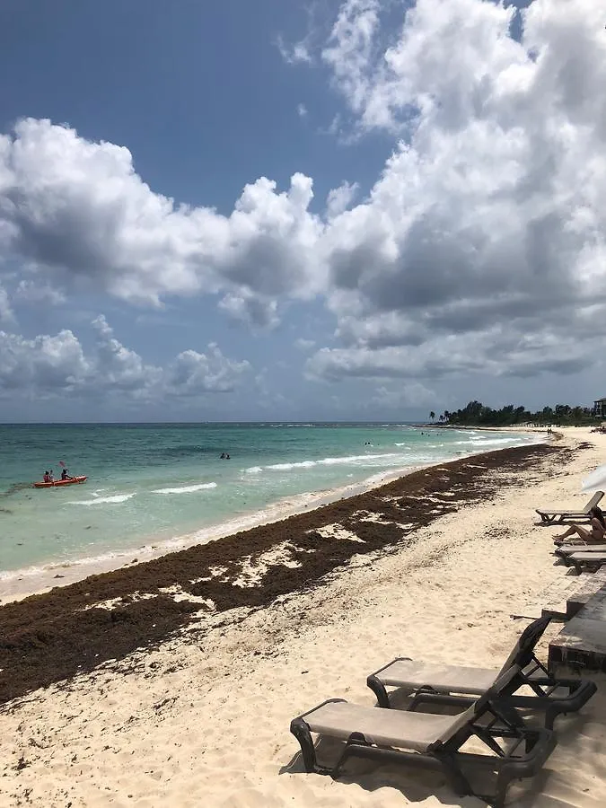 Grand Coral Ocean Dream Sv Hotel Playa del Carmen Resort